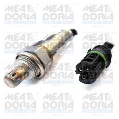 Oxygen Sensor